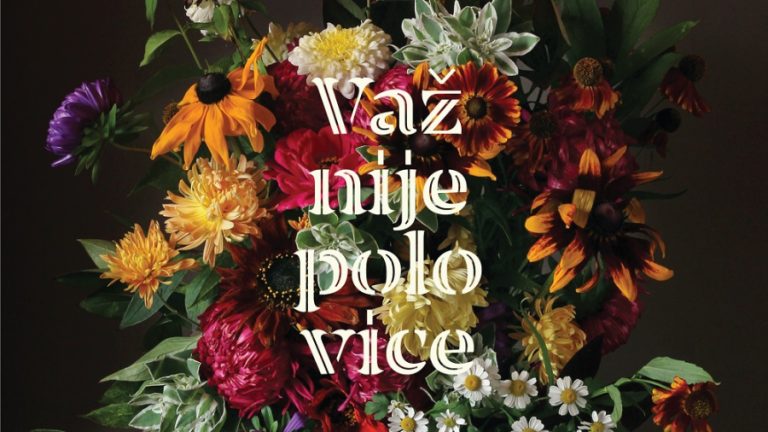Važnije polovice naslovna