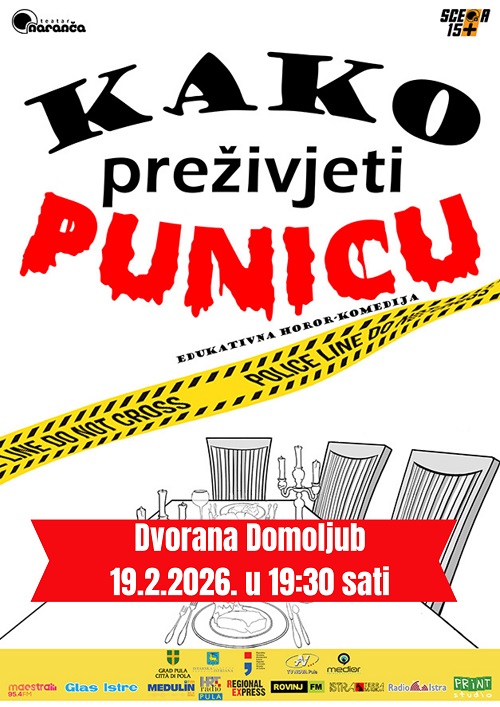 Kako preživjeti punicu plakat